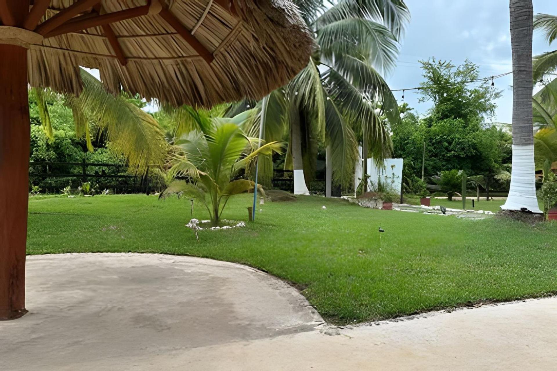 Casa Las Palmas Playa La Saladita 锡瓦塔塔内霍 外观 照片