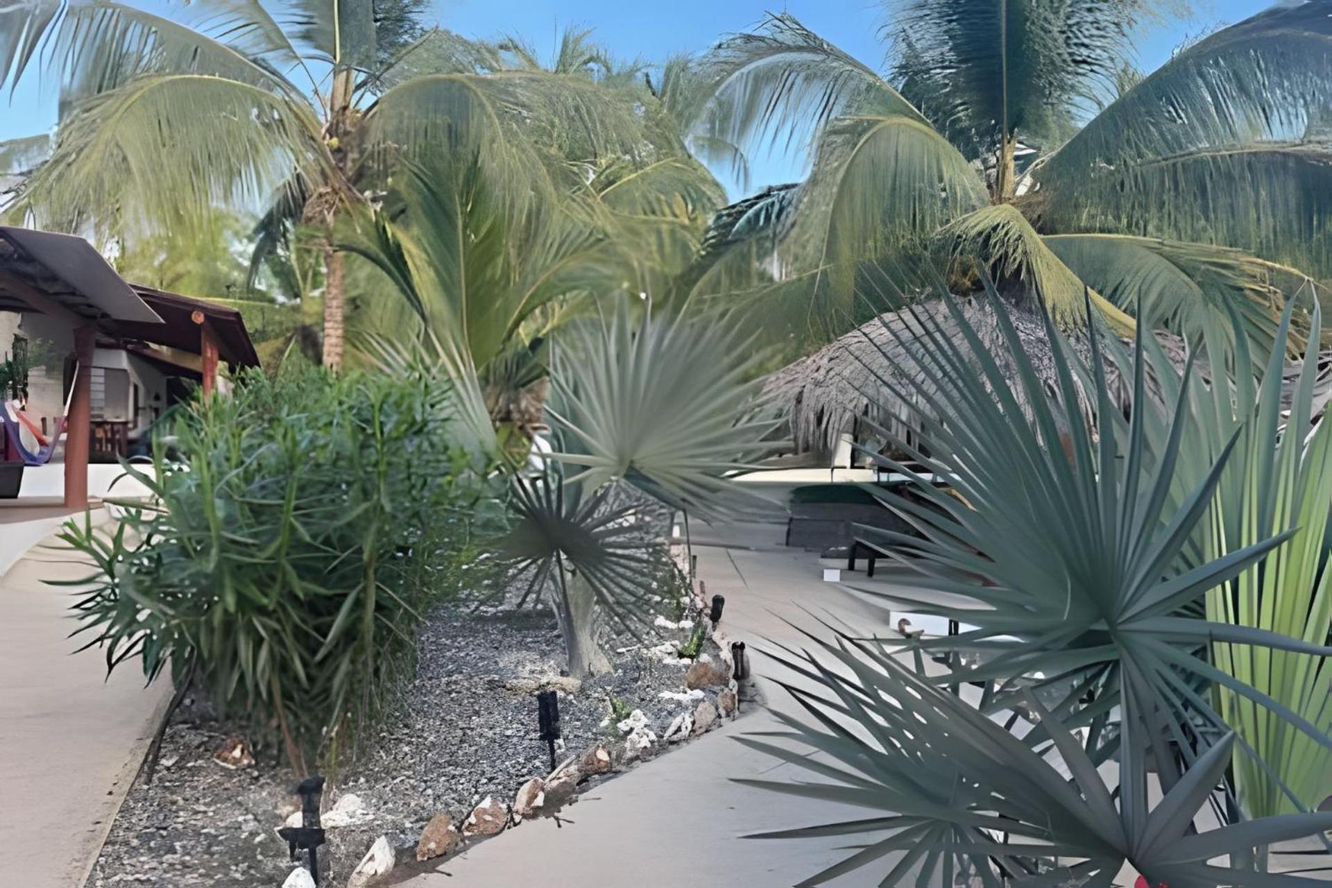 Casa Las Palmas Playa La Saladita 锡瓦塔塔内霍 外观 照片