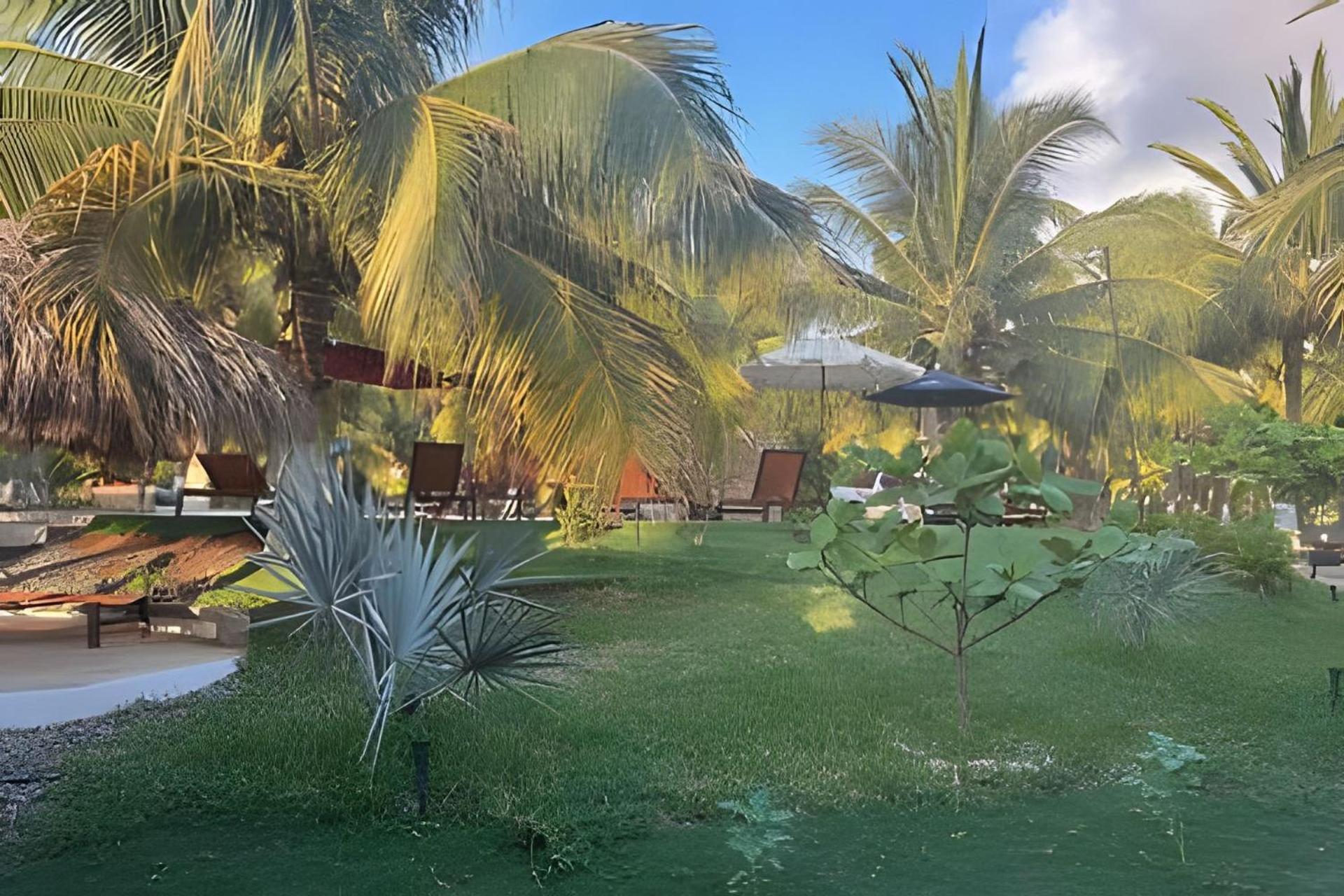 Casa Las Palmas Playa La Saladita 锡瓦塔塔内霍 外观 照片