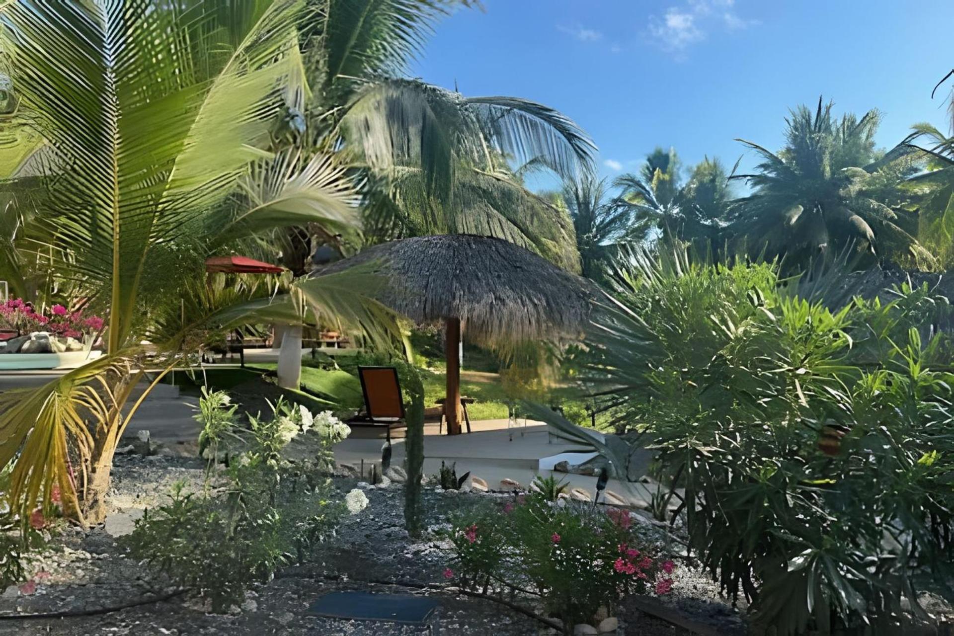 Casa Las Palmas Playa La Saladita 锡瓦塔塔内霍 外观 照片