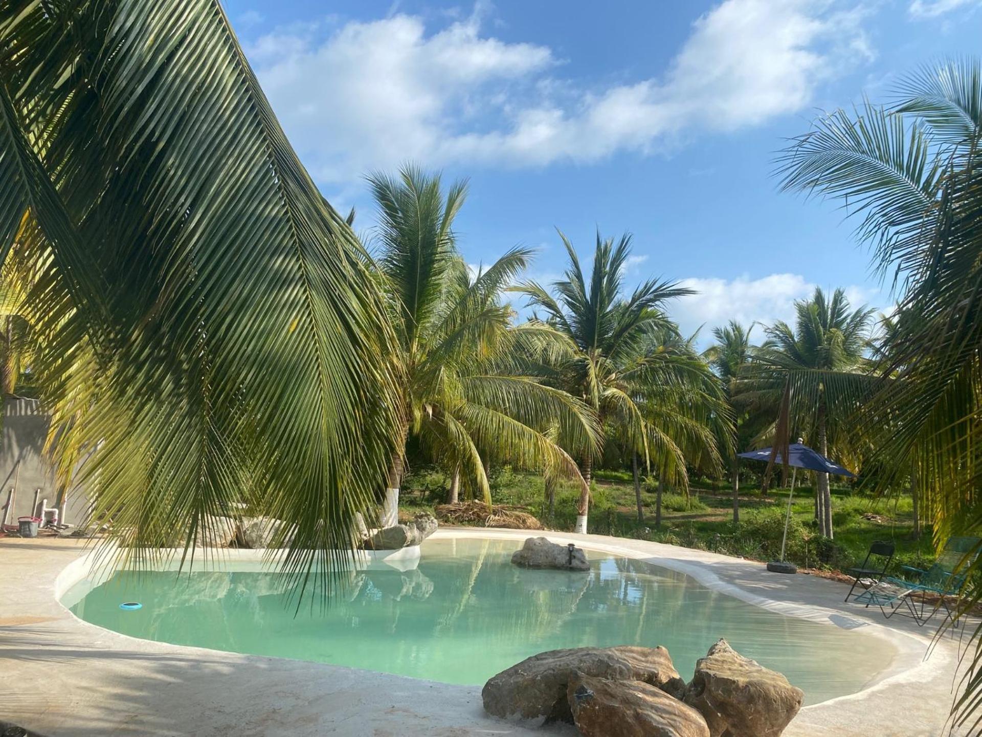 Casa Las Palmas Playa La Saladita 锡瓦塔塔内霍 外观 照片